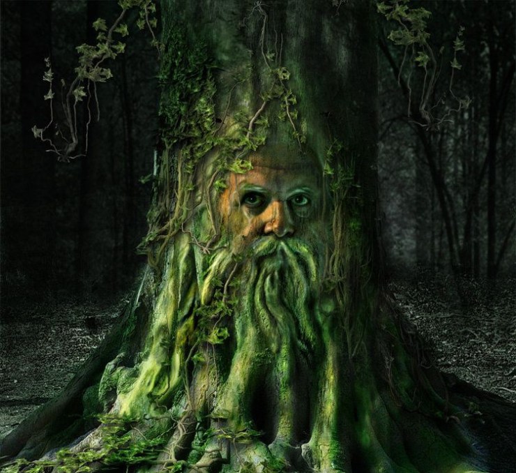 7ede92fed26885055c3e9ae3ee8f983e