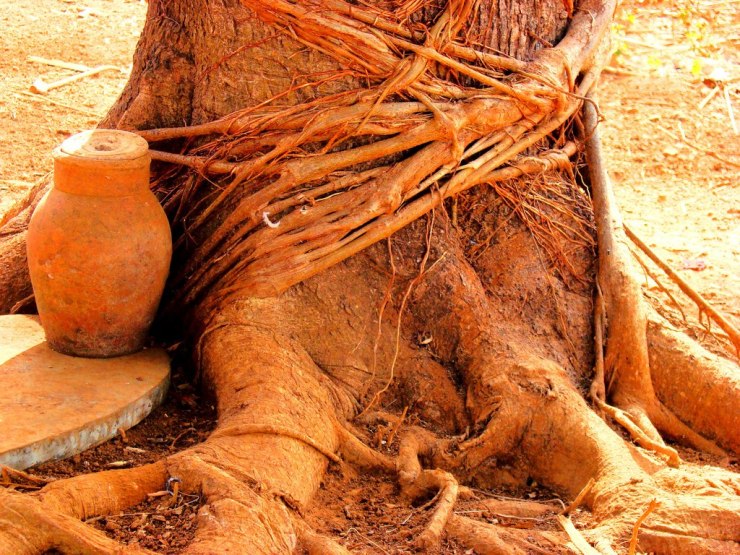 823430_483415495039158_623795834_o