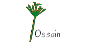 Ossain_paimigueldeogun