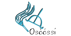 Oxossi_paimigueldeogun